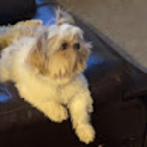 Meet your Posher, Gregory